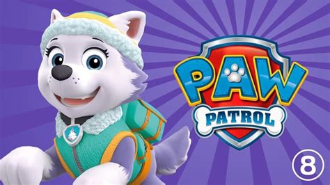 Watch Paw Patrol Season 9 Episode 8 Online Free Full Episodes