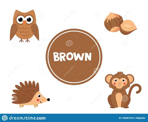The Color Brown Printable Activities Color Of The Week Preschool Colors