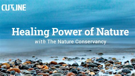 Healing Power Of Nature With The Nature Conservancy Connecticut