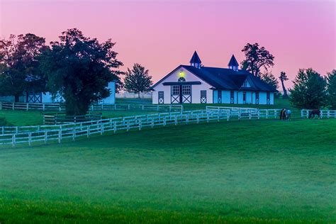 Kentucky Bluegrass Horse Farm Colorful Sunrise Misty Morning Light