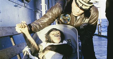 Meet Ham The Chimp, The Animal Astronaut Who Changed History