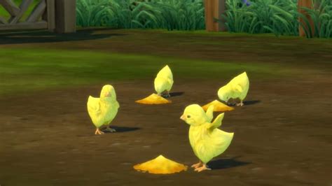 How To Hatch Eggs In Sims 4 Cottage Living Pro Game Guides