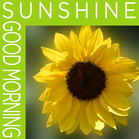 Good Morning Sunshine Poster Free Stock Photo Public Domain Pictures