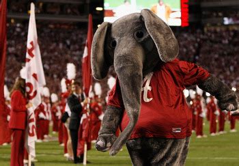 What does crimson tide plc's (lon:tide) balance sheet tell us about its future? SEC Background Checks: The Meaning Behind Every Team's ...