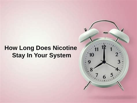 How Long Does Nicotine Stay In Your System And Why