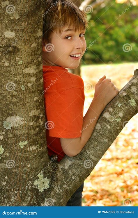 Boy Leaning Against A Tree Stock Image Image Of Joyful 2667399