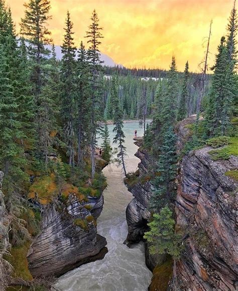 Athabasca Falls Canada Credits To Mthiessen Descubra Os