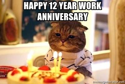 Appreciate the hard work of the employee towards the work. Happy 12 year work anniversary - Birthday Cat | Meme Generator
