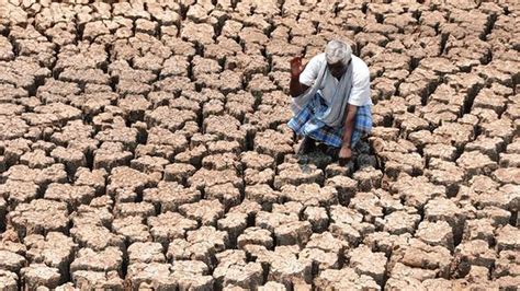 Why India Struggles To Cope With Droughts The Hindu Businessline