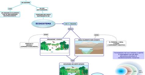 Gli Ambienti E Gli Ecosistemi