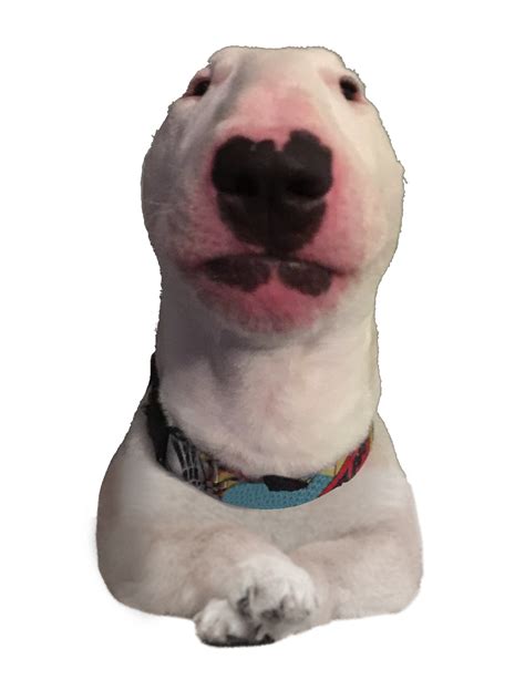 Le Standing Walter Has Arrived This Was H A R D Rdogelore