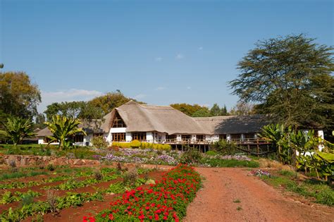 Ngorongoro Farm House Bekijk Beschrijving En Mooie Fotos Explore