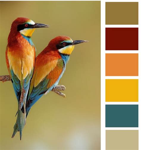 Color ? | Nature color palette, Color schemes, Colour schemes