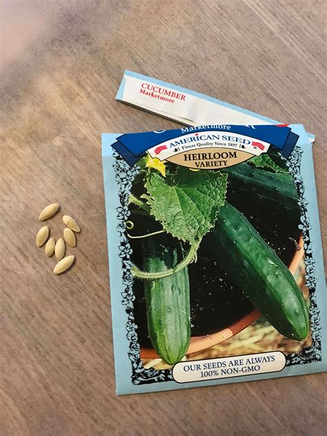 Plant Smarter Not Harder Starting Cucumber Seeds Indoors The Easy Way