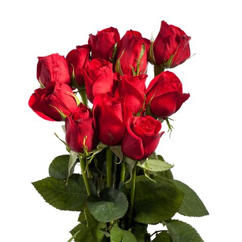Dozen Roses Order Online At Redners Markets
