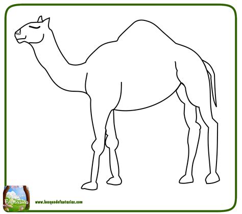 99 Dibujos De Camellos Camellos Para Colorear Infantiles