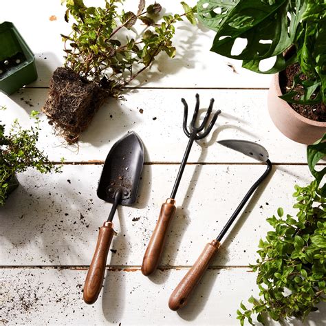17 Essential Gardening Tools the Pros Swear By in 2021 | Garden tools