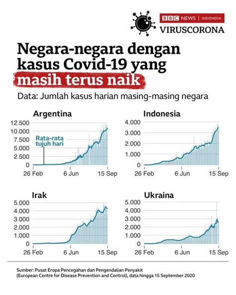 Covid Indonesia Puncak Gelombang Pertama Yang Tak Berujung