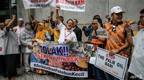 The eu ban could reduce demand for palm oil, but many, including the international union for the conservation of nature, aren't sure it will be effective in stemming deforestation. Malaysian farmers protest against EU push to ban palm oil ...