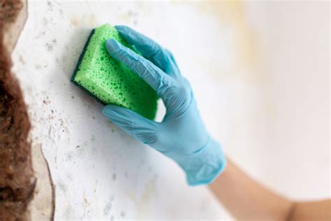 Some headaches from mold exposure can be related to sinus issues caused by the allergic response to mold. Different Kinds Of Basement Molds - Permadry Waterproofing ...