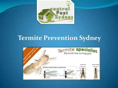 Ppt Is Full House Treatment Essential For Eradicating Termites