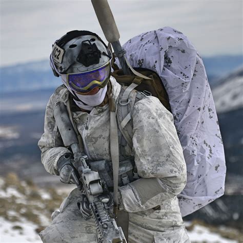 Winter Loadout Navy Seals During Winter Warfare Exercise In Mammoth