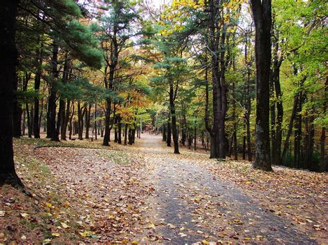 Maybe you would like to learn more about one of these? Rocky Knob campground, Blue Ridge Parkway near Floyd VA ...