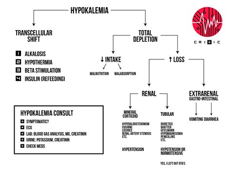 Hypokalemia An Easy Workup Codehealth