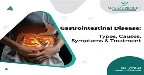 Everything You Need To Know About Gastrointestinal Disease