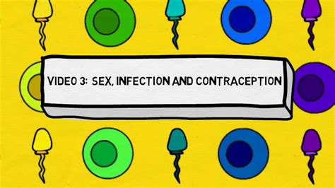 let s talk about sex sex infection and contraception video 3