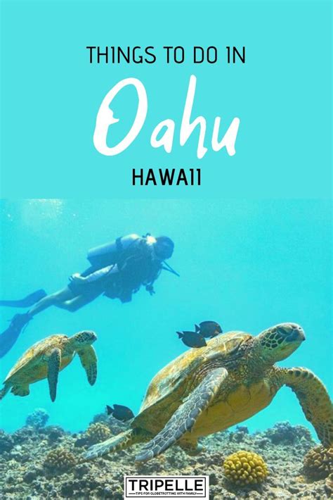 Hawaii Travel 10 Must Do Things To Do In Oahu Oahu Travel Hawaii