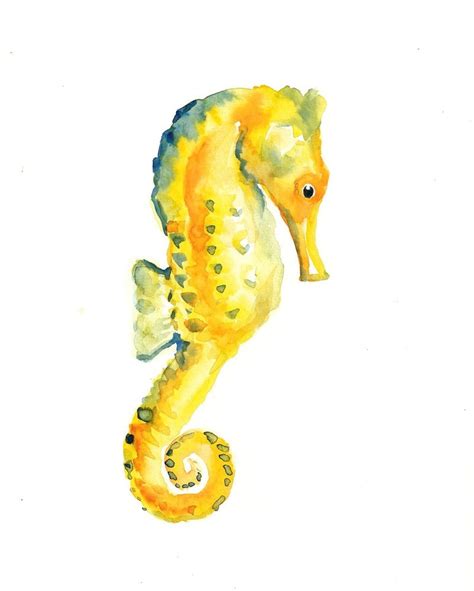 Seahorse By Dimdi Original Watercolor Painting 8x10inch By Dimdi