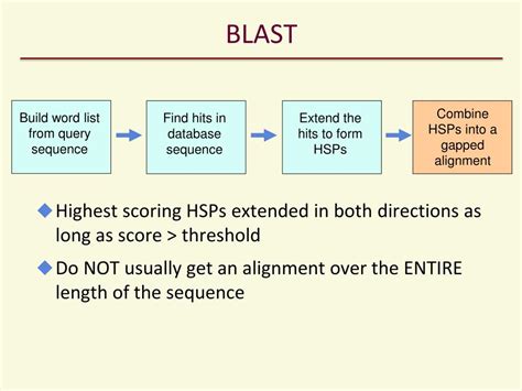 Ppt Sequence Similarity And Alignment With Blast Powerpoint