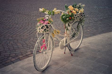 Isnt This Pretty Bicycle Bicycle Art Pretty Bicycle