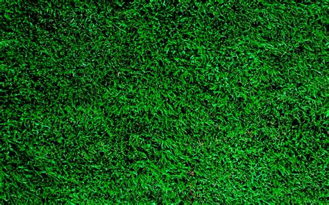 Green Grass Texture Beautiful Green Lawn Green Grass Background