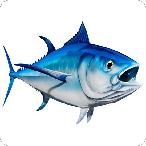 Bluefin Tuna 5 Digital Fish Art
