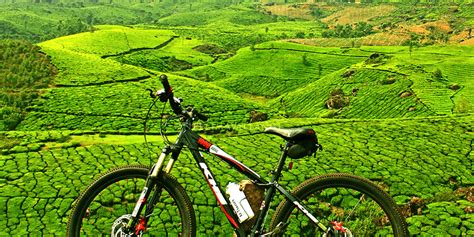 9 Best Adventure Sports Destinations In Kerala Things To Do And