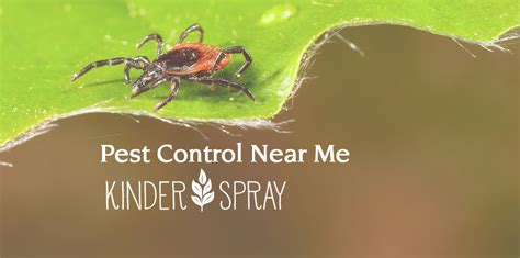Local northeast pest control technicians. Pest Control Near Me: Kinder Spray Provides Superior, Organic Options - Kinder Spray