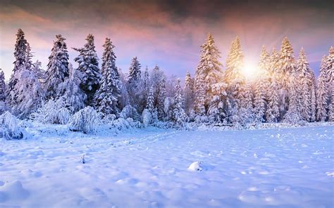 1366x768px Free Download Hd Wallpaper Winter Computer Backgrounds