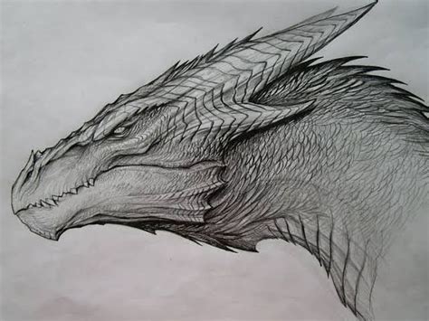 Wow Really Love This Sketch Desenho De Dragão Dragões Dragão Desenho