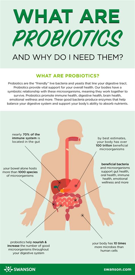 What Are Probiotics And Why Do I Need Probiotics Swanson Health Hub