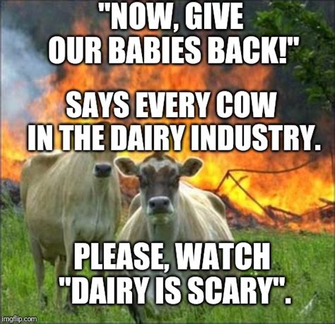Evil Cows Meme Imgflip