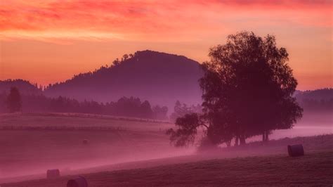 2560x1440 Resolution Misty Morning Sunrise 5k 1440p Resolution