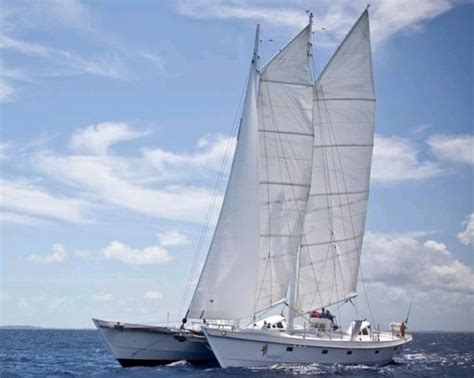 Used Sail Catamaran For Sale 2008 Constellation Yachts Gaff Rigged