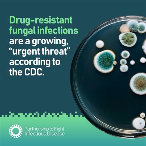 Idsa On Twitter Fungal Infections Are A Global Threat That Is