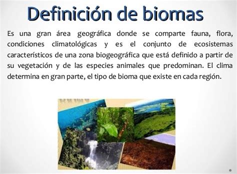Biomas Definición importancia tipos ejemplos y más