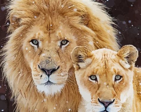 Lion And Lioness Animal Paint By Numbers Paint By Numbers