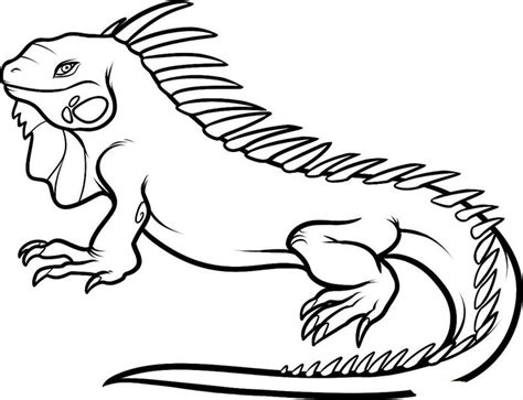 Animal Outline Drawing at GetDrawings | Free download
