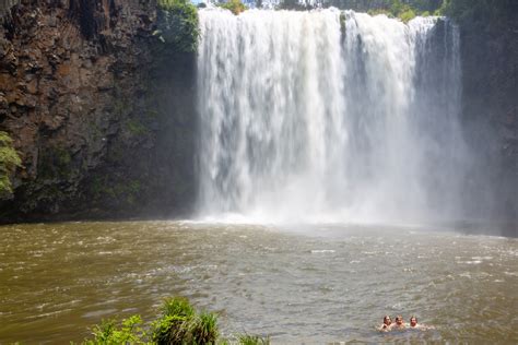 Dangar Falls Dorrigo Swim Beneath An Enormous Waterfall Hiking