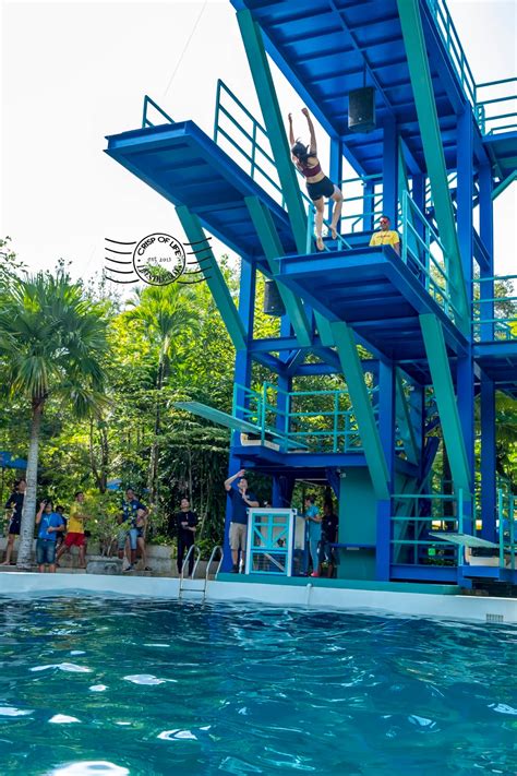 See more of escape theme park, penang on facebook. International High Dive Show launched at ESCAPE Water ...